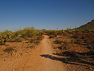 photo thumbnail #4