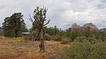 photo thumbnail #12