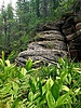 photo thumbnail #8