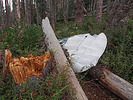 photo thumbnail #11