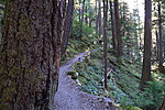 photo thumbnail #15