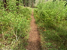 photo thumbnail #7