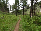 photo thumbnail #8
