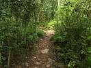 photo thumbnail #11