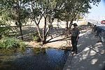 photo thumbnail #10
