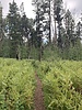 photo thumbnail #4