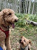 photo thumbnail #4