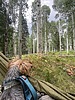 photo thumbnail #6