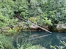 photo thumbnail #12