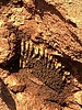 photo thumbnail #4