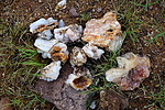 photo thumbnail #9