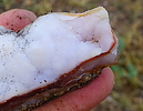 photo thumbnail #11