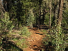 photo thumbnail #9