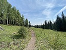 photo thumbnail #10