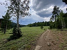 photo thumbnail #1