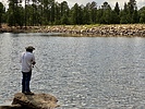 photo thumbnail #7