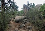photo thumbnail #11