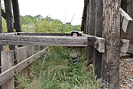 photo thumbnail #11