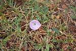 photo thumbnail #14