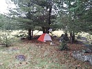 recent photo