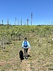 photo thumbnail #2