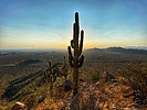 photo thumbnail #1
