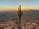photo thumbnail #5