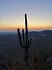 photo thumbnail #14