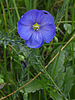 2020-08-28 Thompson Trail #629 :: outdoor_lover
