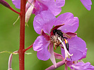 2020-08-28 Thompson Trail #629 :: outdoor_lover