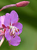 2020-08-28 Thompson Trail #629 :: outdoor_lover