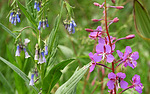 2020-08-28 Thompson Trail #629 :: outdoor_lover
