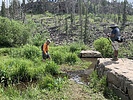 photo thumbnail #5
