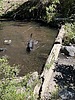 photo thumbnail #5