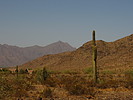 photo thumbnail #13