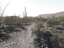 photo thumbnail #6