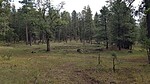 photo thumbnail #6