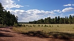 photo thumbnail #9