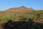 photo thumbnail #7
