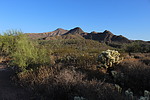 photo thumbnail #9