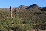 photo thumbnail #12