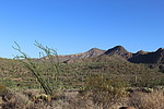 photo thumbnail #15