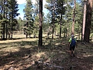 photo thumbnail #8