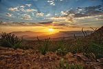 photo thumbnail #10