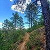 photo thumbnail #10