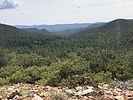 photo thumbnail #6