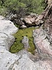 photo thumbnail #7