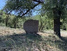 photo thumbnail #1