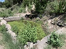photo thumbnail #8