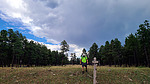 photo thumbnail #12